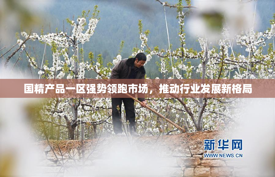 国精产品一区强势领跑市场，推动行业发展新格局