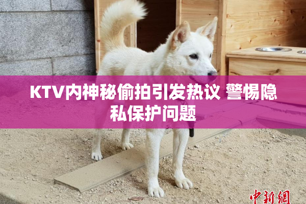 KTV内神秘偷拍引发热议 警惕隐私保护问题