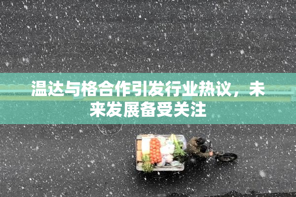 温达与格合作引发行业热议，未来发展备受关注