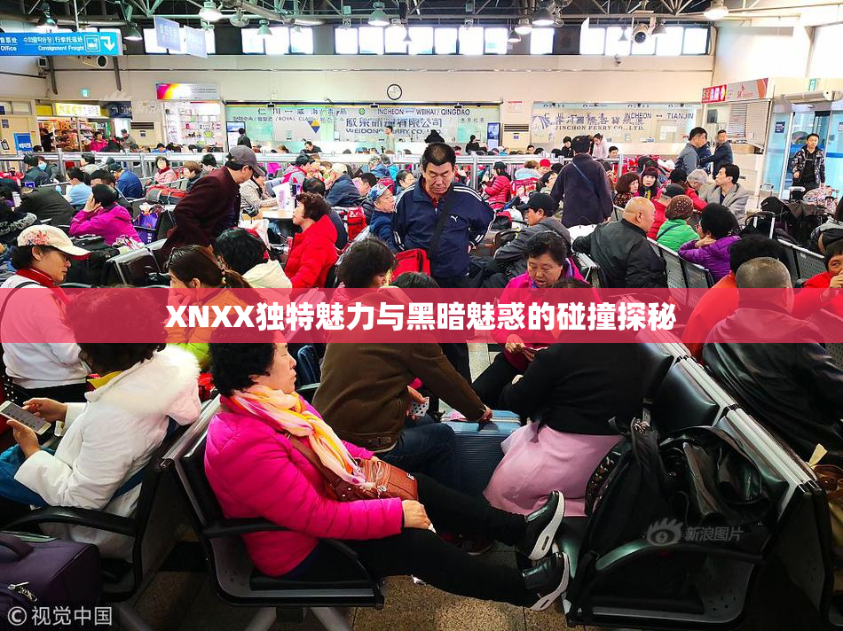 XNXX独特魅力与黑暗魅惑的碰撞探秘