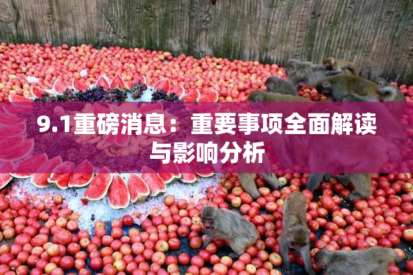 9.1重磅消息：重要事项全面解读与影响分析