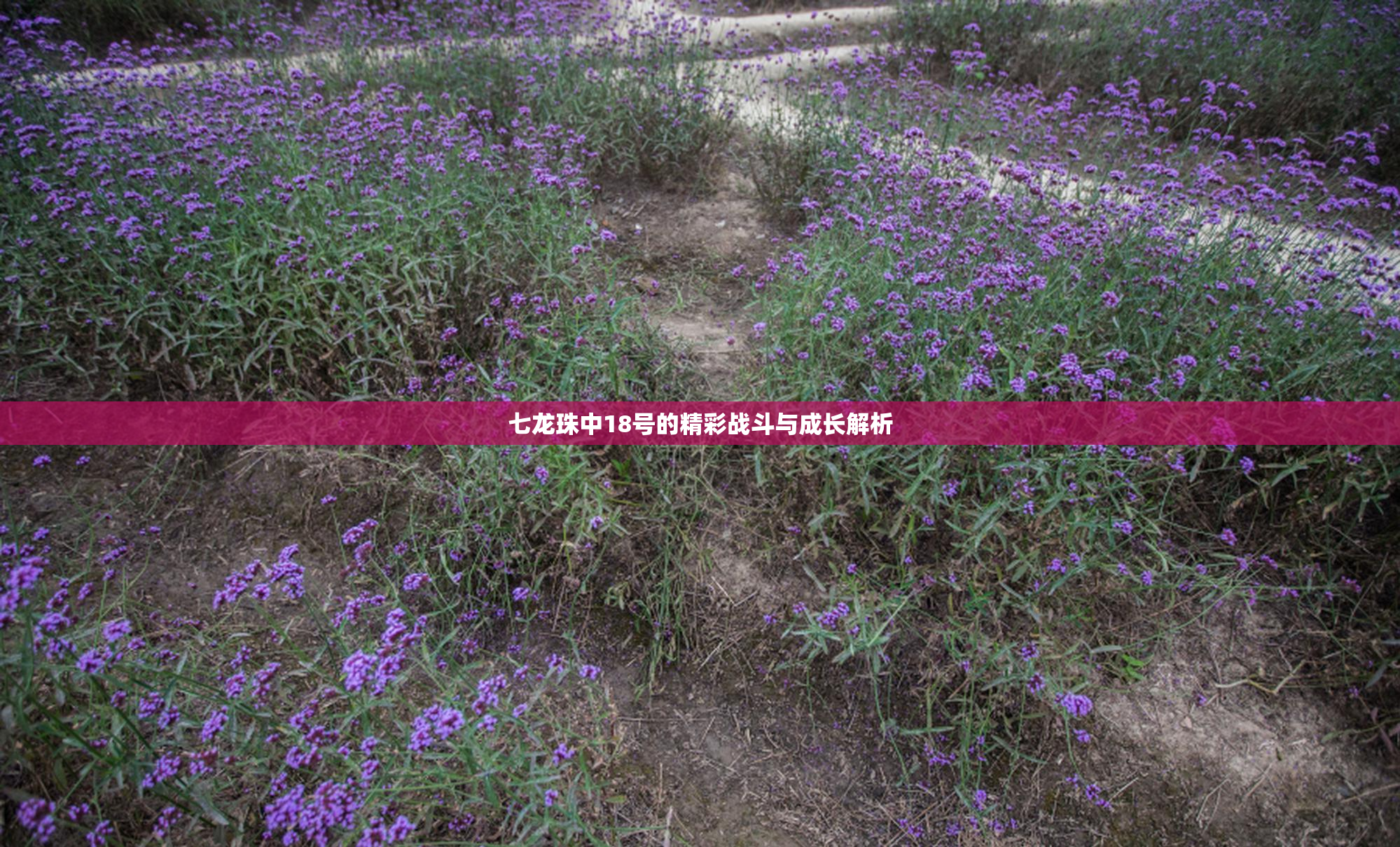 七龙珠中18号的精彩战斗与成长解析