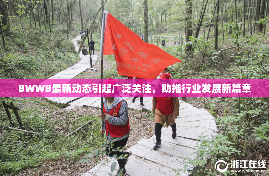 BWWB最新动态引起广泛关注，助推行业发展新篇章