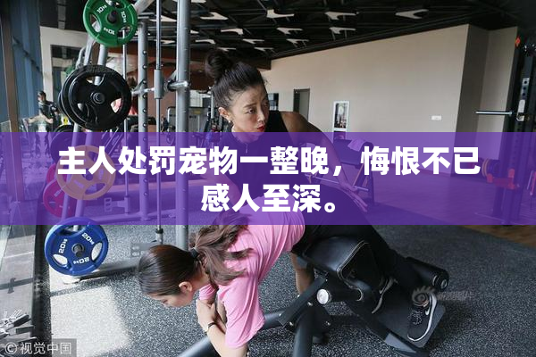 主人处罚宠物一整晚，悔恨不已感人至深。
