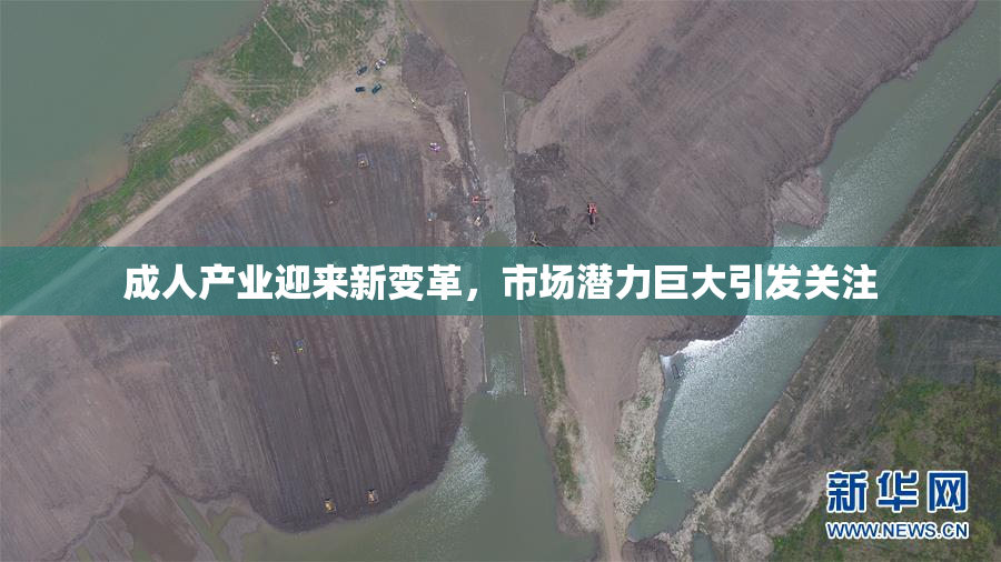 成人产业迎来新变革，市场潜力巨大引发关注