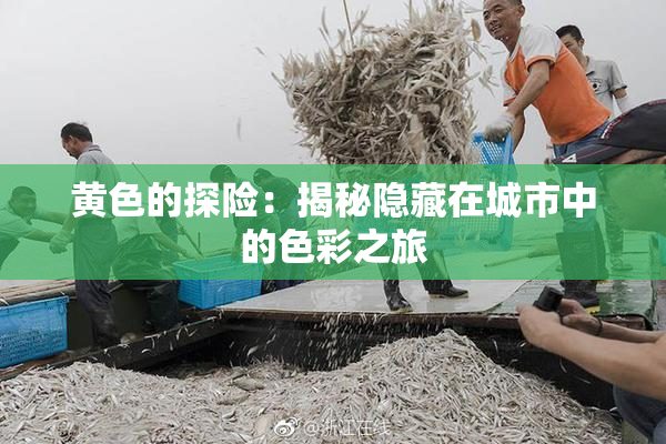 黄色的探险：揭秘隐藏在城市中的色彩之旅