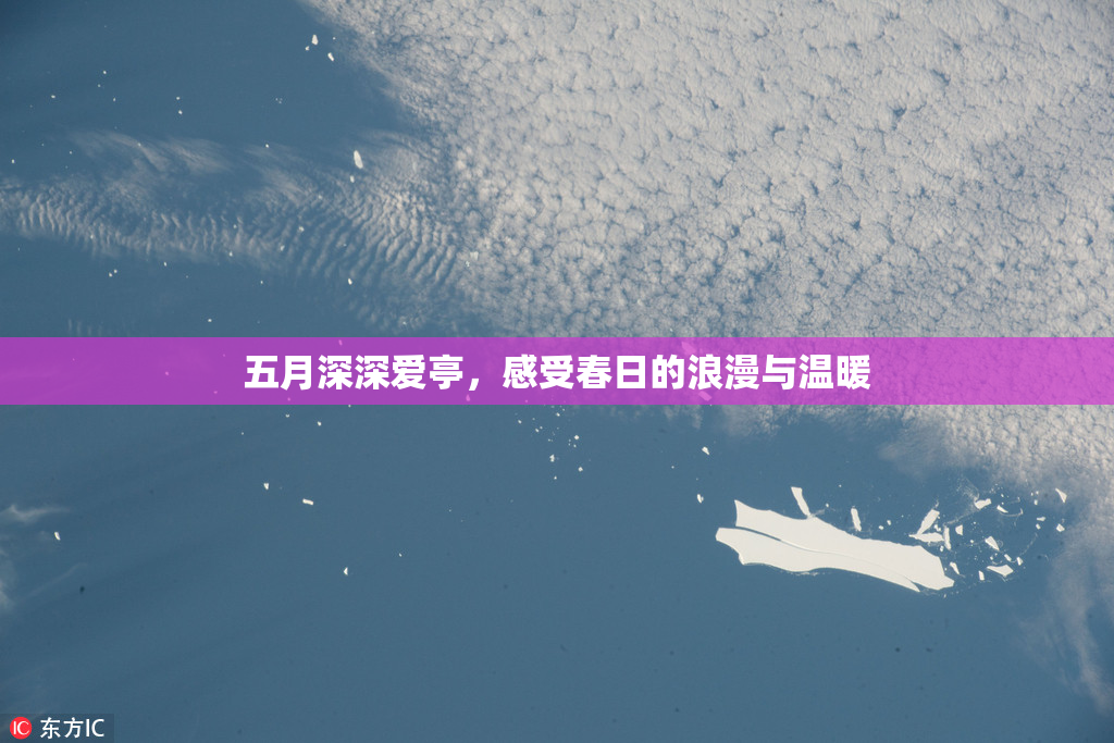 五月深深爱亭，感受春日的浪漫与温暖