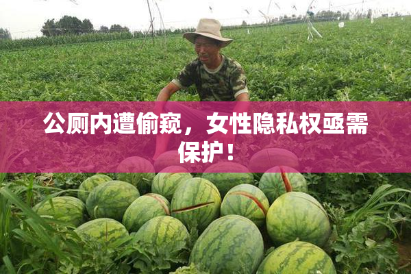 公厕内遭偷窥，女性隐私权亟需保护！