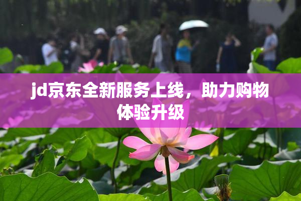 jd京东全新服务上线，助力购物体验升级