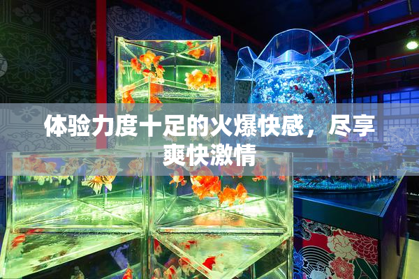 体验力度十足的火爆快感，尽享爽快激情