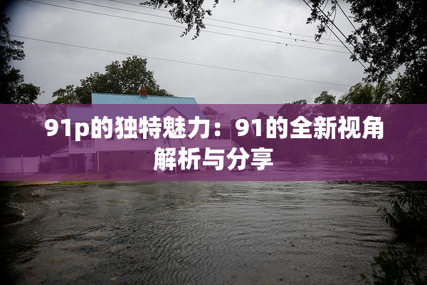 91p的独特魅力：91的全新视角解析与分享