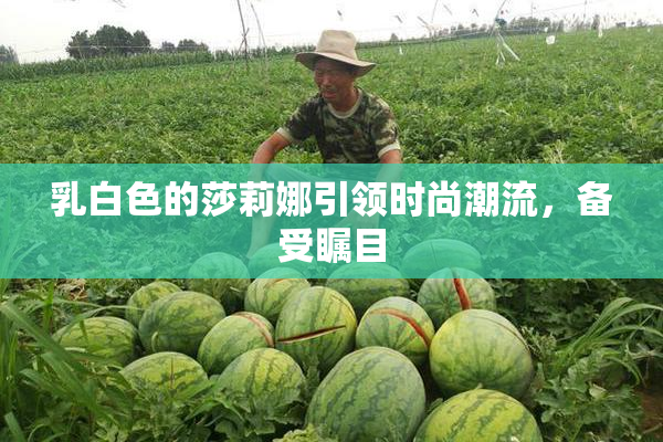 乳白色的莎莉娜引领时尚潮流，备受瞩目