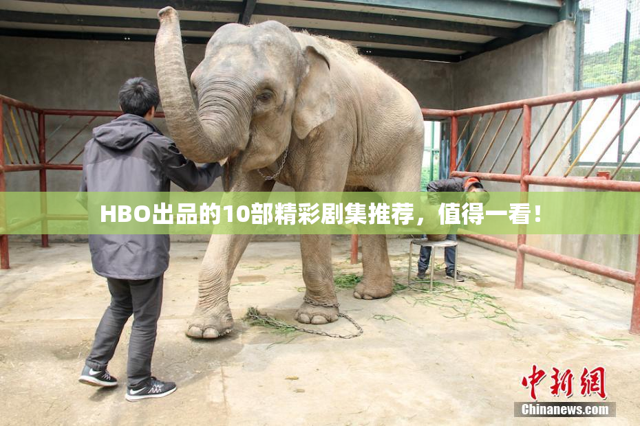 HBO出品的10部精彩剧集推荐，值得一看！