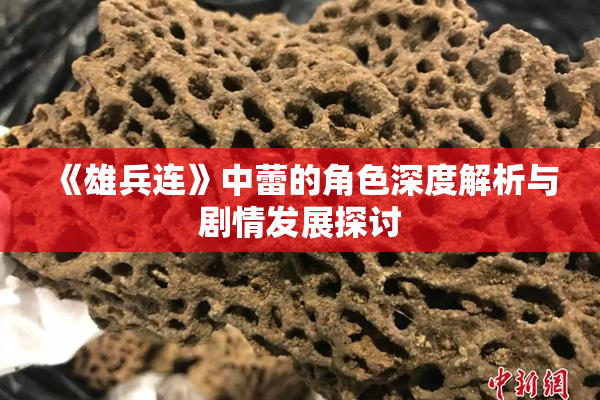 《雄兵连》中蕾的角色深度解析与剧情发展探讨