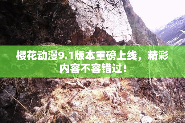 樱花动漫9.1版本重磅上线，精彩内容不容错过！