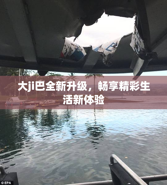 大ji巴全新升级，畅享精彩生活新体验
