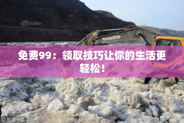 免费99：领取技巧让你的生活更轻松！