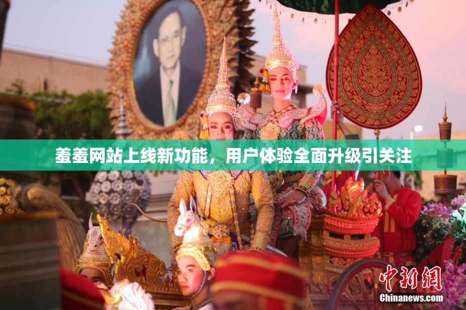 羞羞网站上线新功能，用户体验全面升级引关注