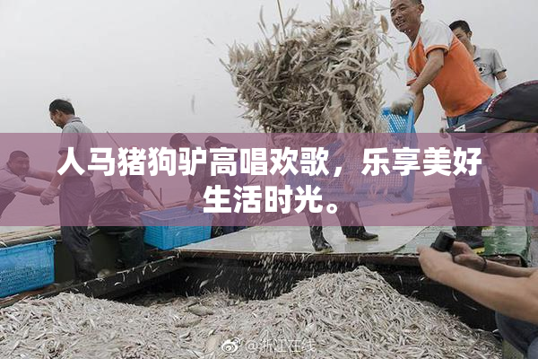 人马猪狗驴高唱欢歌，乐享美好生活时光。