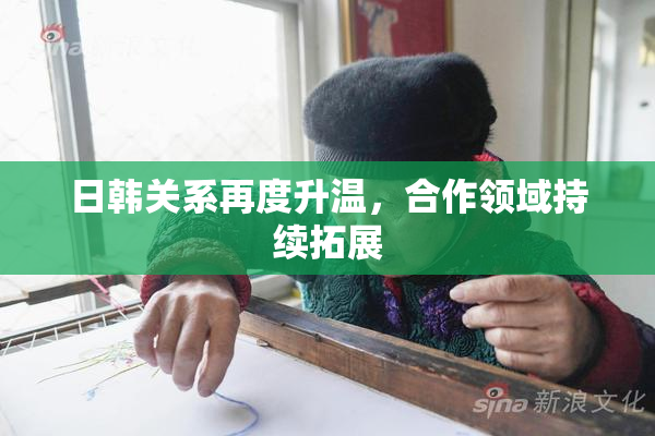 日韩关系再度升温，合作领域持续拓展