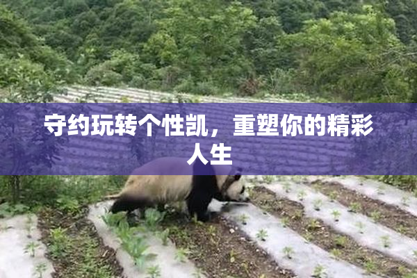 守约玩转个性凯，重塑你的精彩人生
