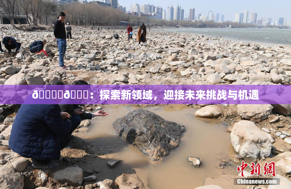 🔞‌🍌：探索新领域，迎接未来挑战与机遇