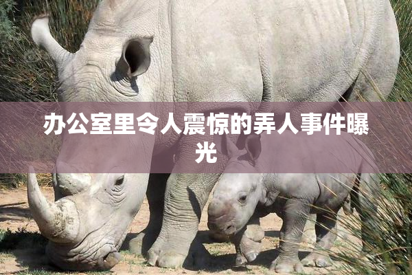 办公室里令人震惊的弄人事件曝光