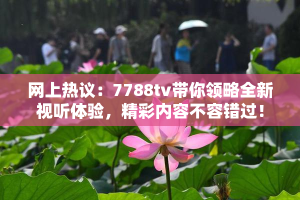 网上热议：7788tv带你领略全新视听体验，精彩内容不容错过！