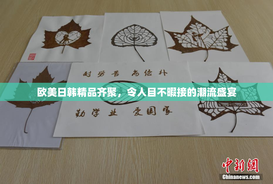 欧美日韩精品齐聚，令人目不暇接的潮流盛宴
