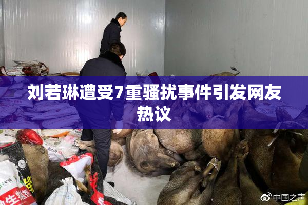 刘若琳遭受7重骚扰事件引发网友热议