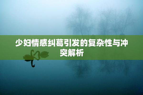 少妇情感纠葛引发的复杂性与冲突解析