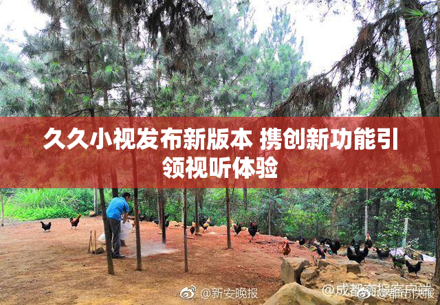 久久小视发布新版本 携创新功能引领视听体验