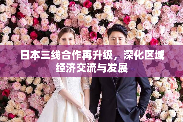 日本三线合作再升级，深化区域经济交流与发展