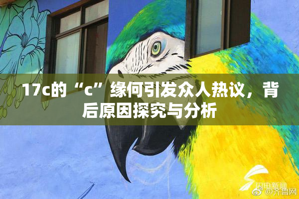 17c的“c”缘何引发众人热议，背后原因探究与分析