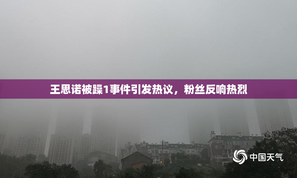 王思诺被躁1事件引发热议，粉丝反响热烈