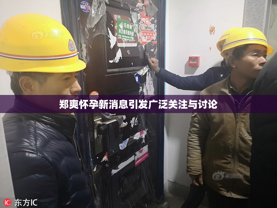 郑爽怀孕新消息引发广泛关注与讨论