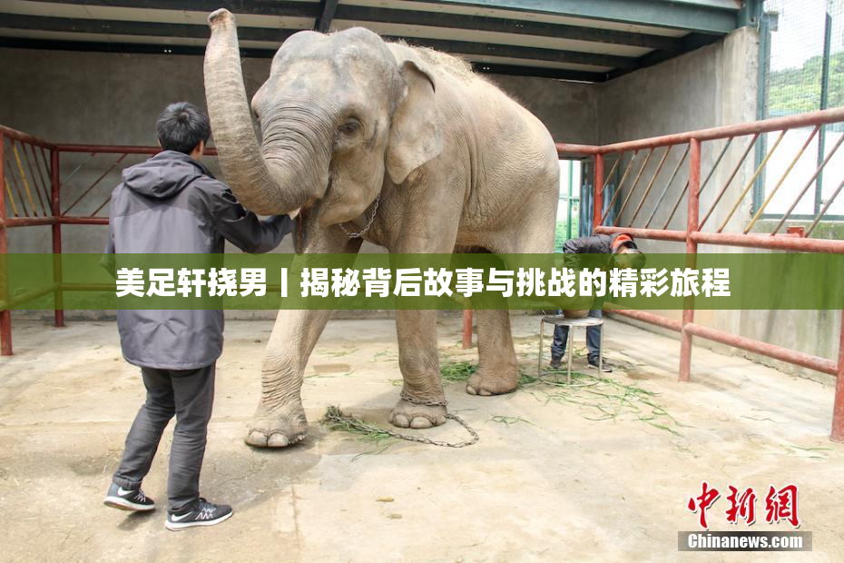 美足轩挠男丨揭秘背后故事与挑战的精彩旅程