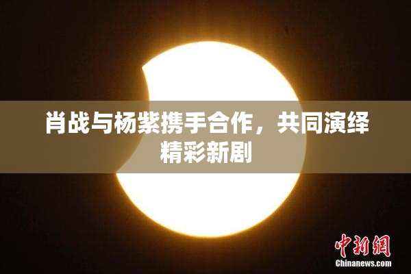 肖战与杨紫携手合作，共同演绎精彩新剧