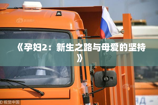 《孕妇2：新生之路与母爱的坚持》
