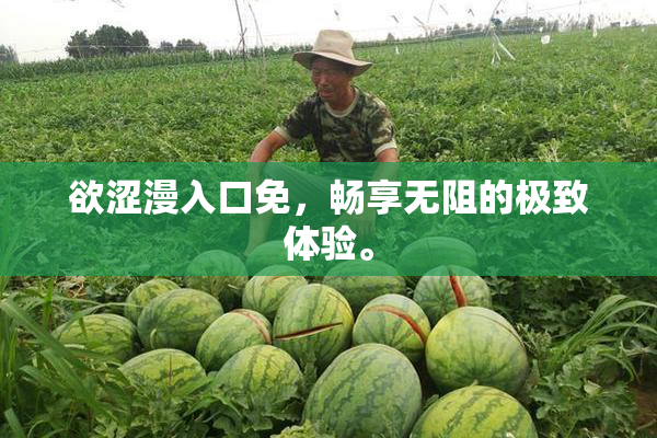 欲涩漫入口免，畅享无阻的极致体验。