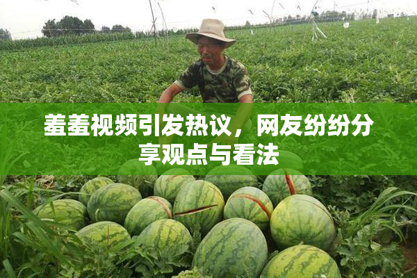 羞羞视频引发热议，网友纷纷分享观点与看法