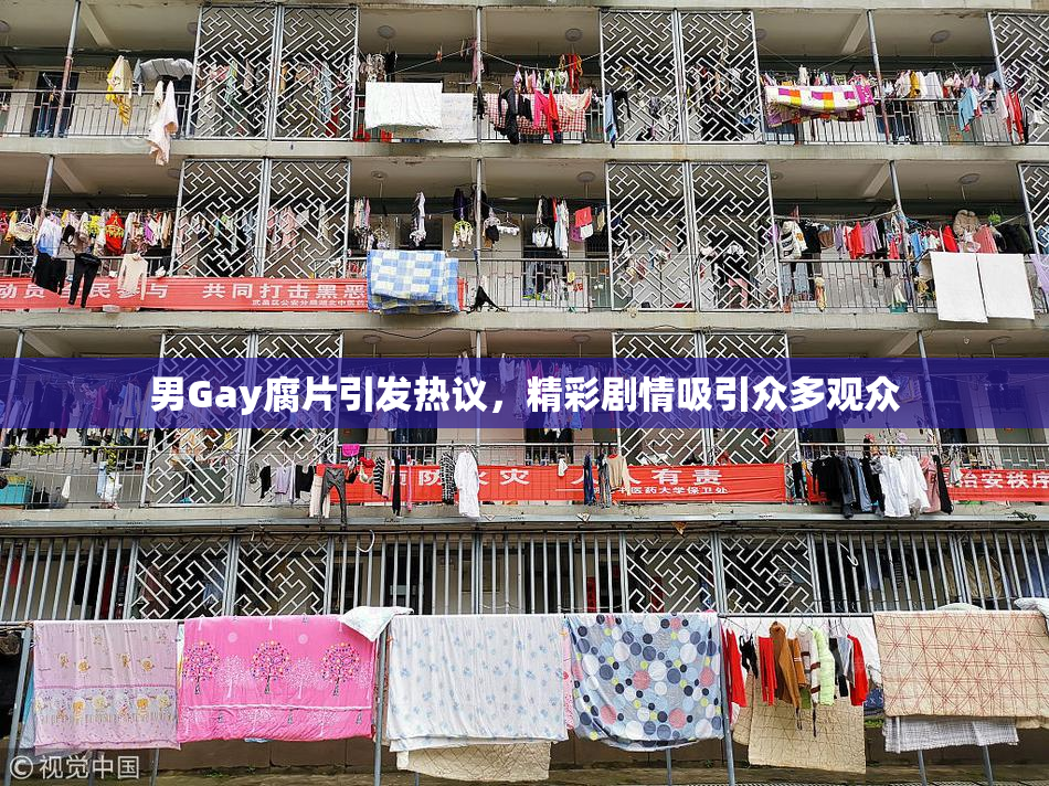 男Gay腐片引发热议，精彩剧情吸引众多观众