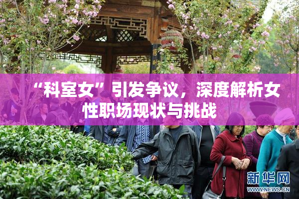 “科室女”引发争议，深度解析女性职场现状与挑战