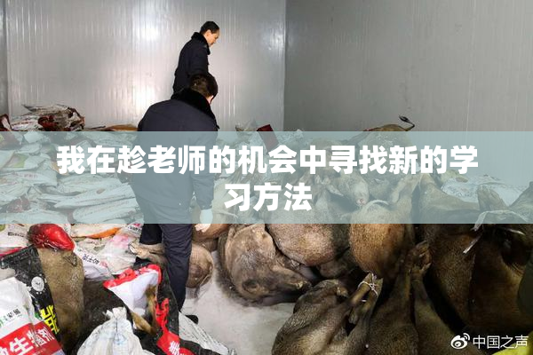 我在趁老师的机会中寻找新的学习方法
