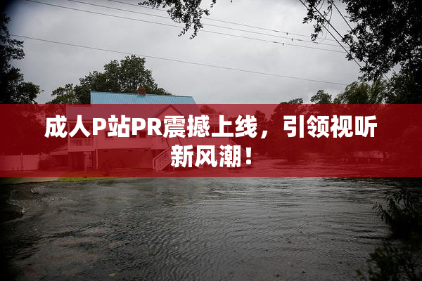 成人P站PR震撼上线，引领视听新风潮！