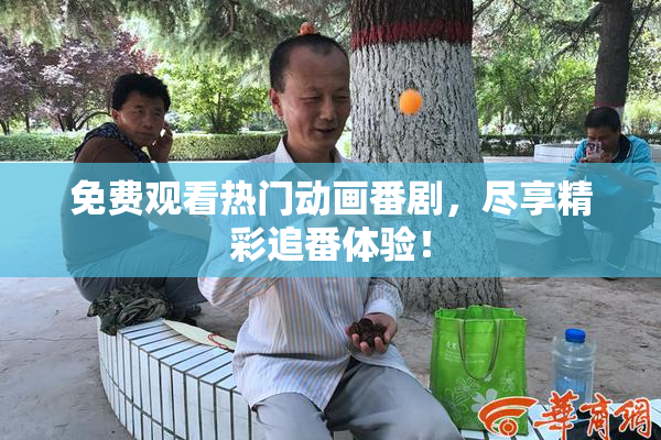 免费观看热门动画番剧，尽享精彩追番体验！