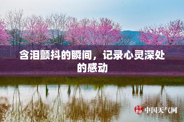 含泪颤抖的瞬间，记录心灵深处的感动