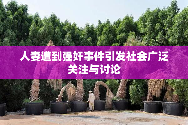 人妻遭到强奸事件引发社会广泛关注与讨论