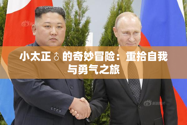 小太正♂的奇妙冒险：重拾自我与勇气之旅
