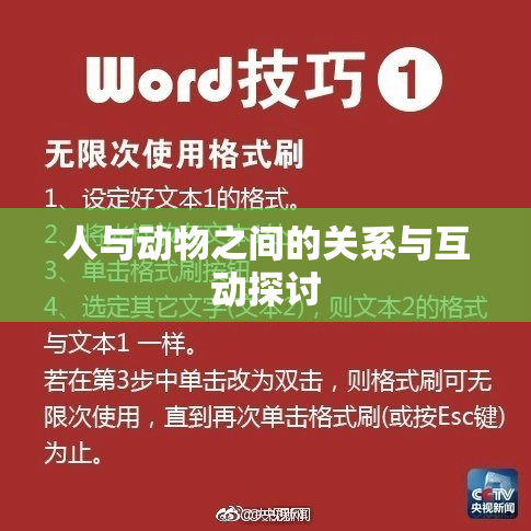 人与动物之间的关系与互动探讨